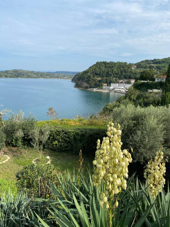 Guest House - Pocitniska Hiska V Fiesi, Piran Zewnętrze zdjęcie